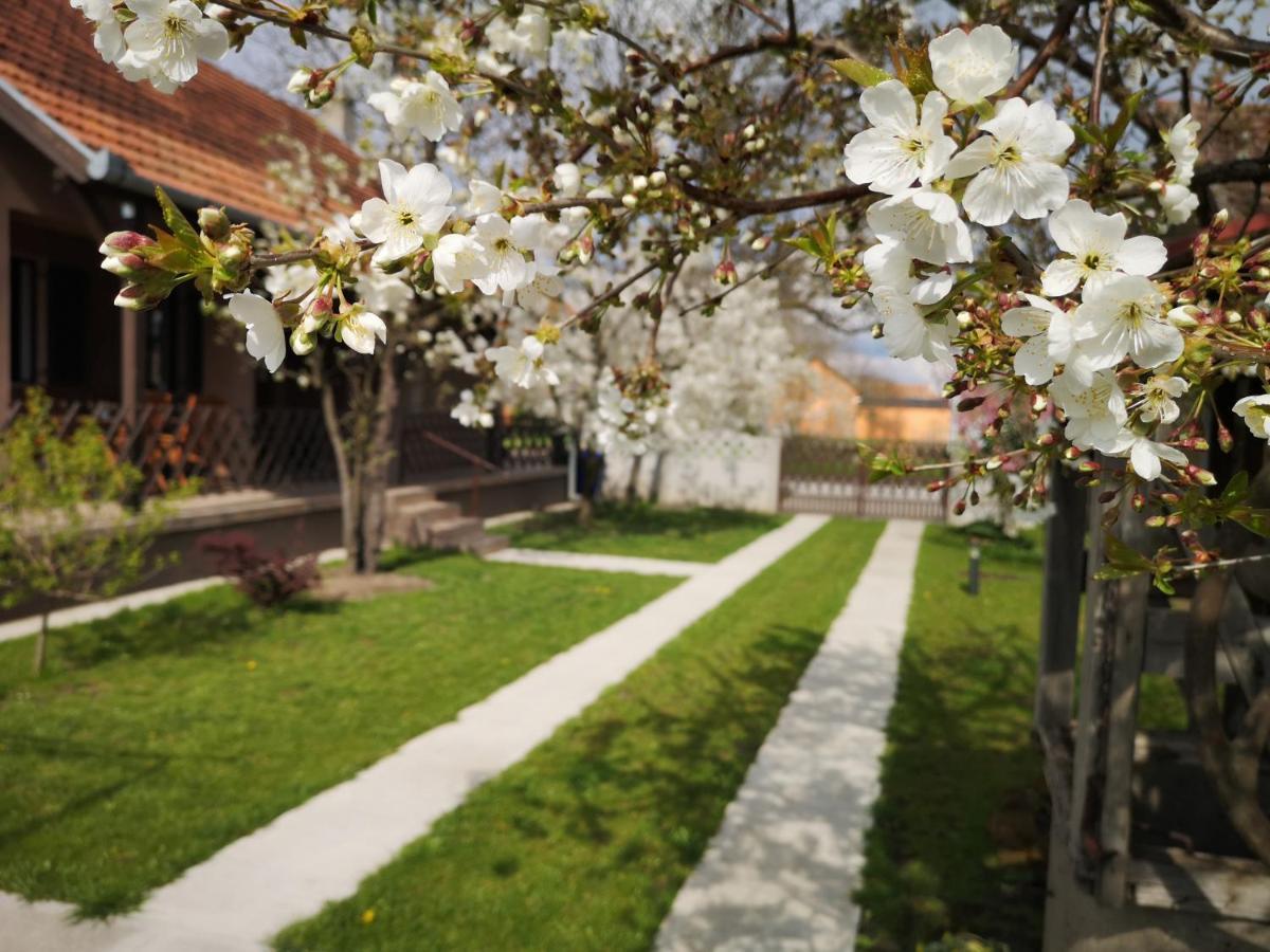 Апартаменты Turul -Kuca Za Odmor- Korod Экстерьер фото